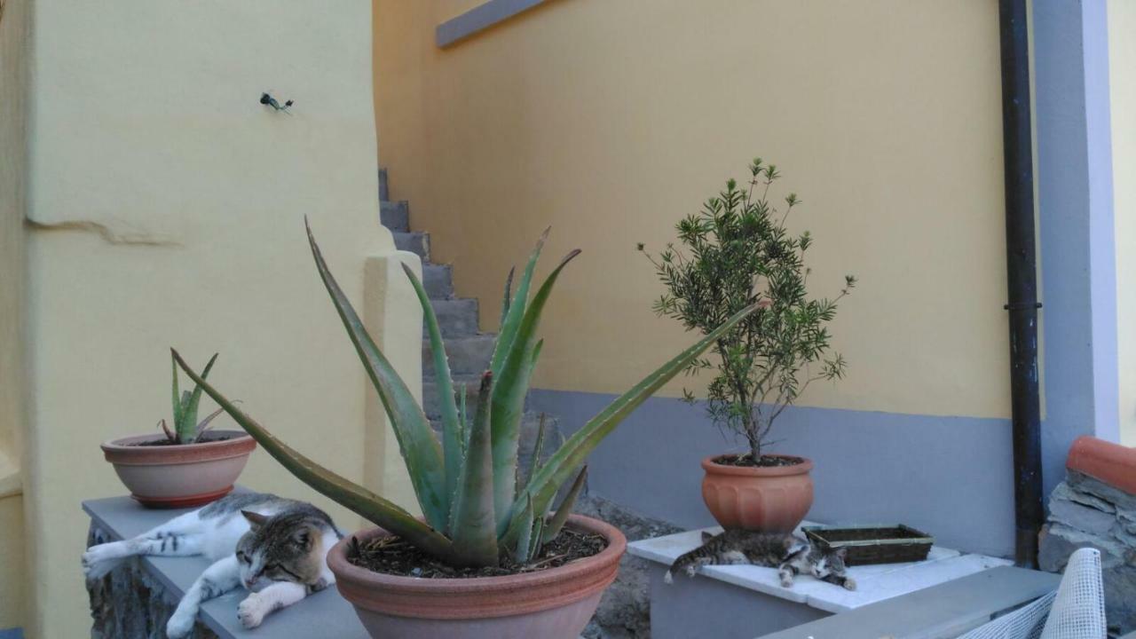La Stanzetta Viola Hotel Fezzano  Exterior foto